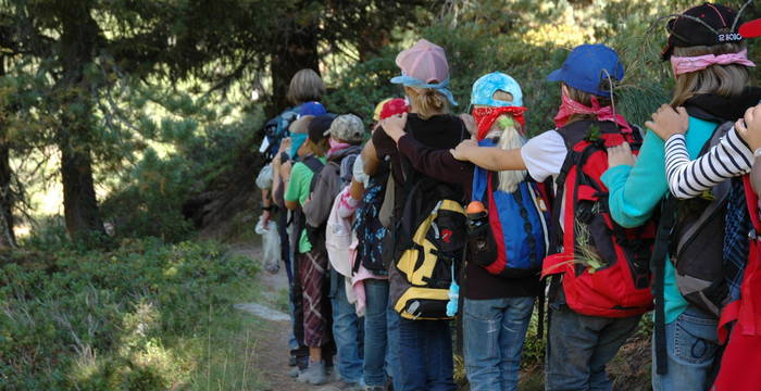 Schulklasse im Aletschwald