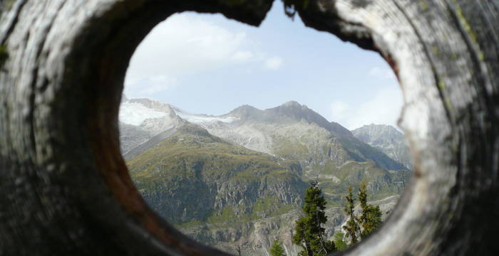 Vue par un arbre