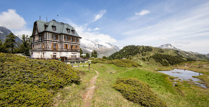 Centre Pro Natura d'Aletsch Villa Cassel