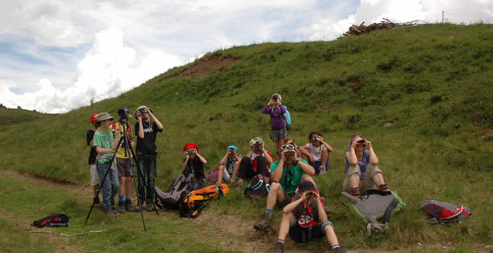 Observation de la faune au camp jeunesse  © Pro Natura Zentrum Aletsch