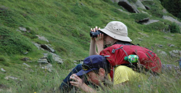 Observation de la faune au camp jeunesse  © Pro Natura Zentrum Aletsch