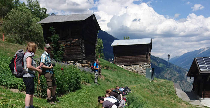 Randonnée des bisses © Pro Natura Zentrum Aletsch
