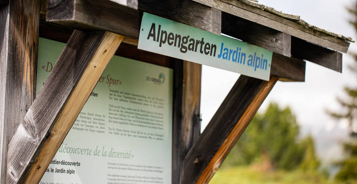 Le jardin alpin  © Pascal Gertschen