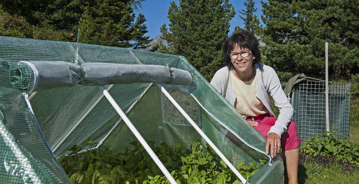 11.8.19 - En dépit de la rénovation: Salade fraîche du jardin alpin!