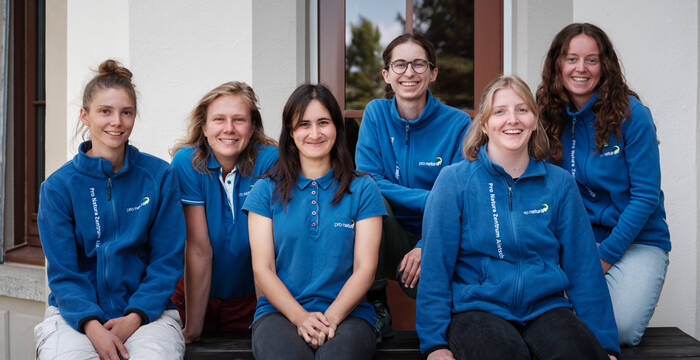 Infoteam