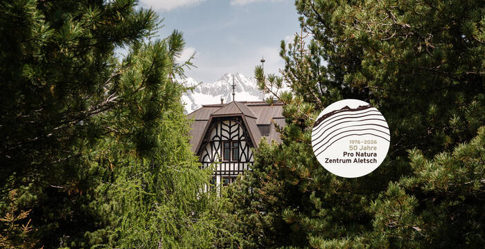 Villa Cassel mit Jubiläumslogo