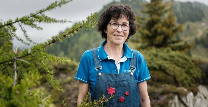 Isabella Albrecht - Alpengarten