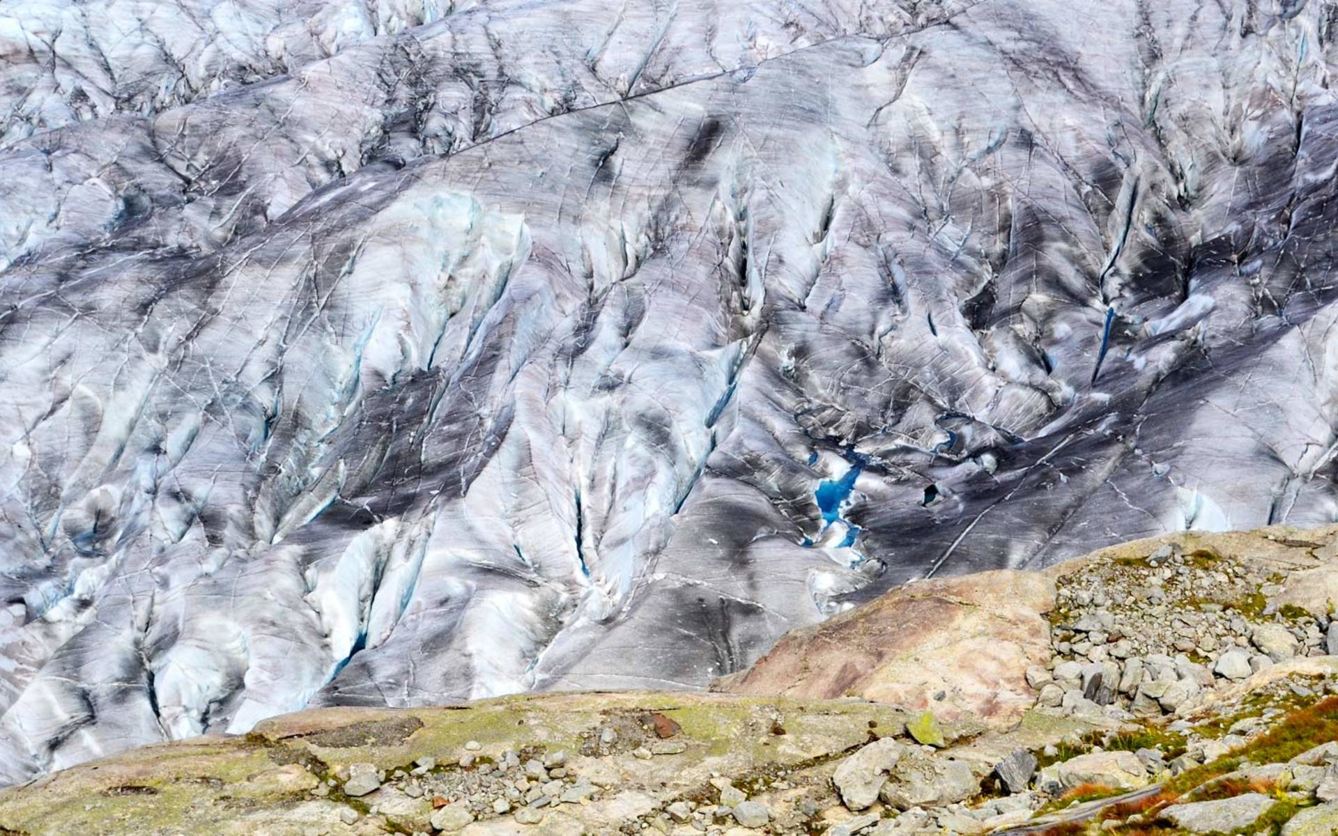 Le grand Glacier d'Aletsch © Sigolène Roch