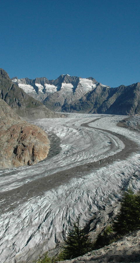 Vue sur le glacier d'Aletsch