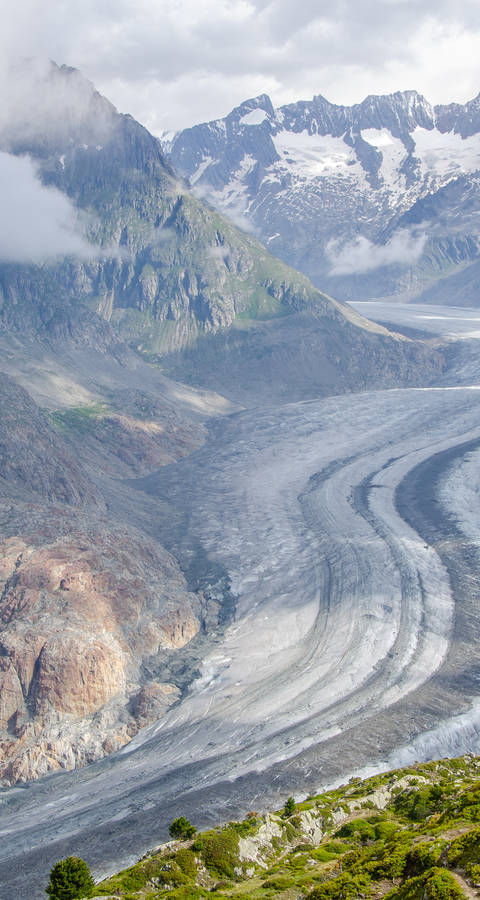 Groupe regarde sur le glacier d'Aletsch