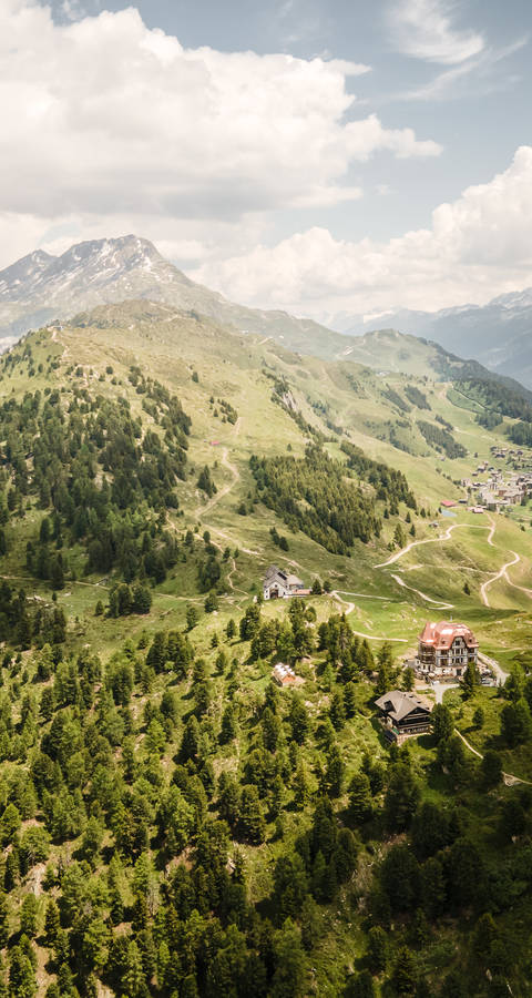 Das Aletschgebiet aus der Luft