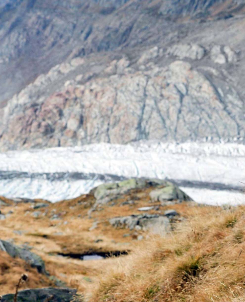 Glacier d'Aletsch @ Pro Natura