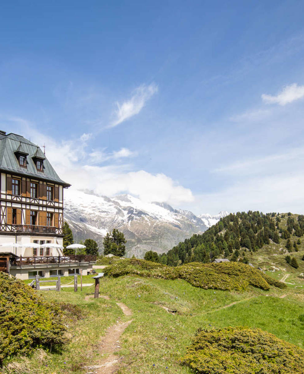 Pro Natura Zentrum Aletsch Villa Cassel