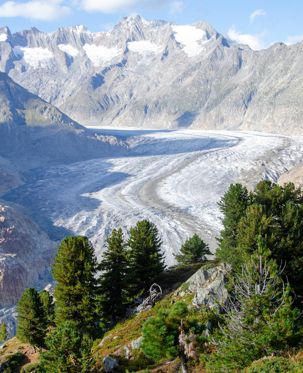 Aletschgletscher im Sommer