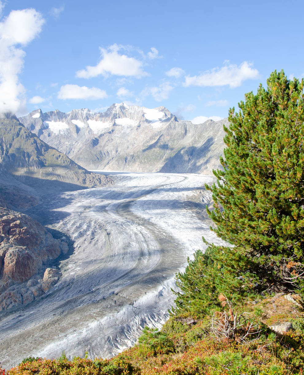 Aletschgletscher im Sommer