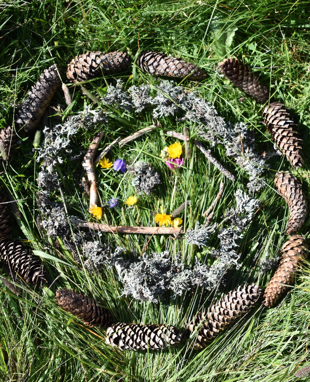 Wald- und Wiesenlabor
