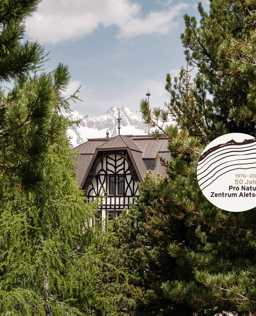 Villa Cassel mit Jubiläumslogo